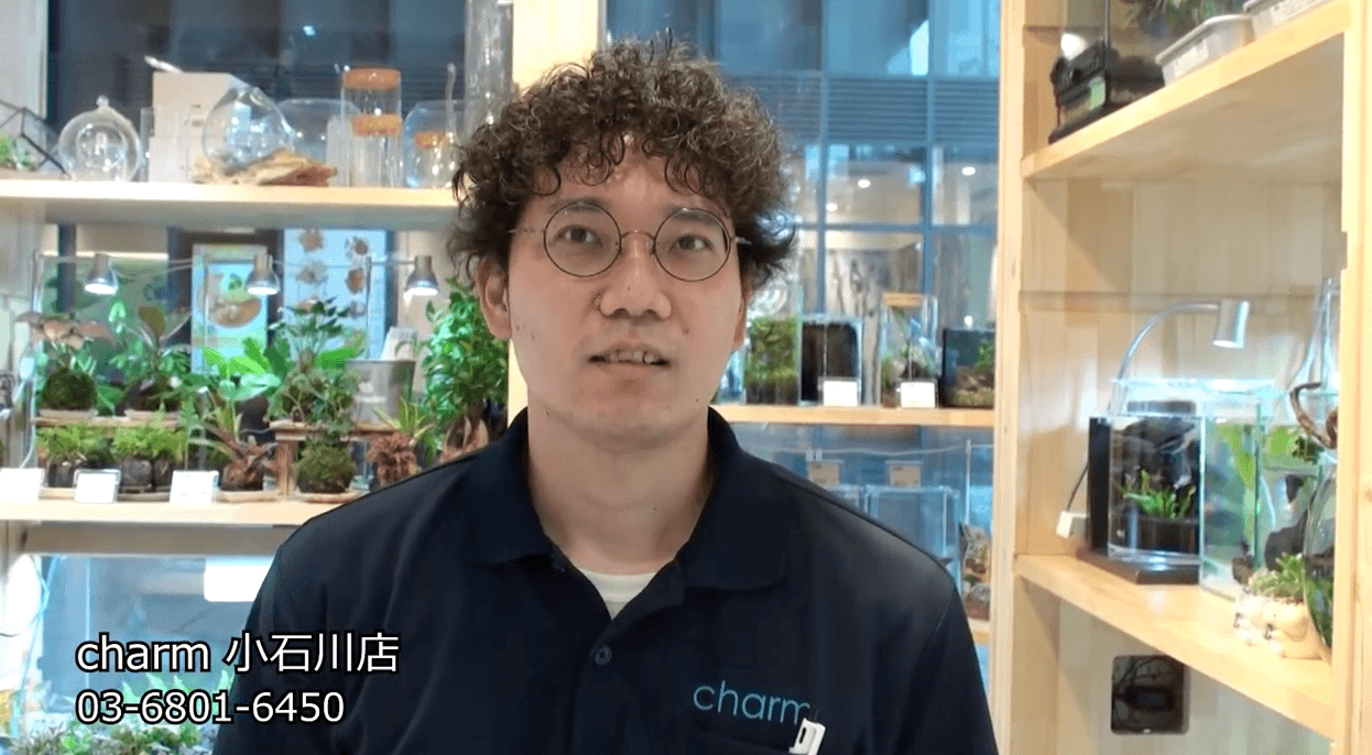 charm 小石川店 の紹介動画