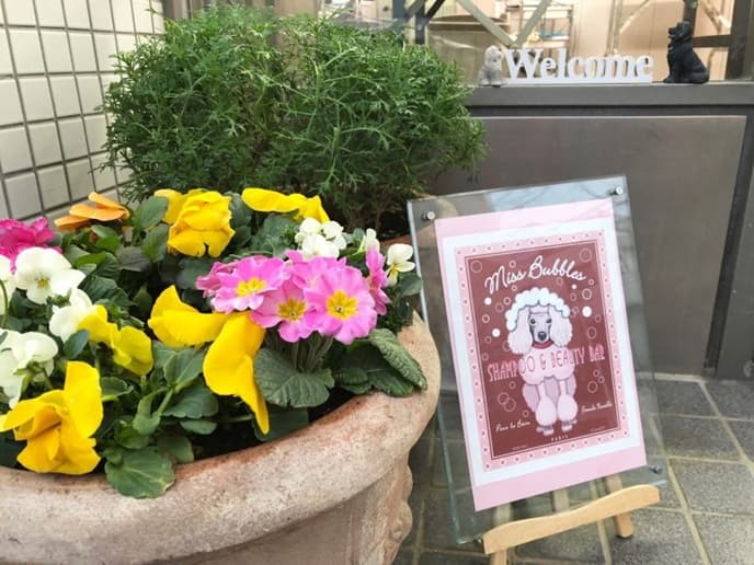 犬の美容室 ぽち