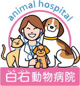 白石動物病院